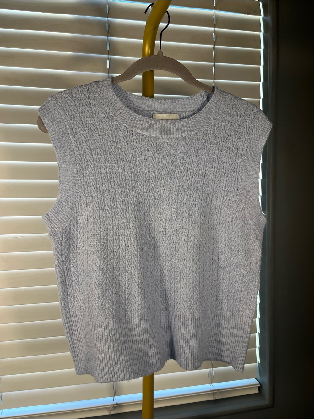 Pink Rose Sleeveless Scoopneck Sweater Vest in Pale Blue
